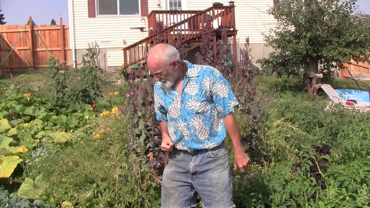 backyard garden tour