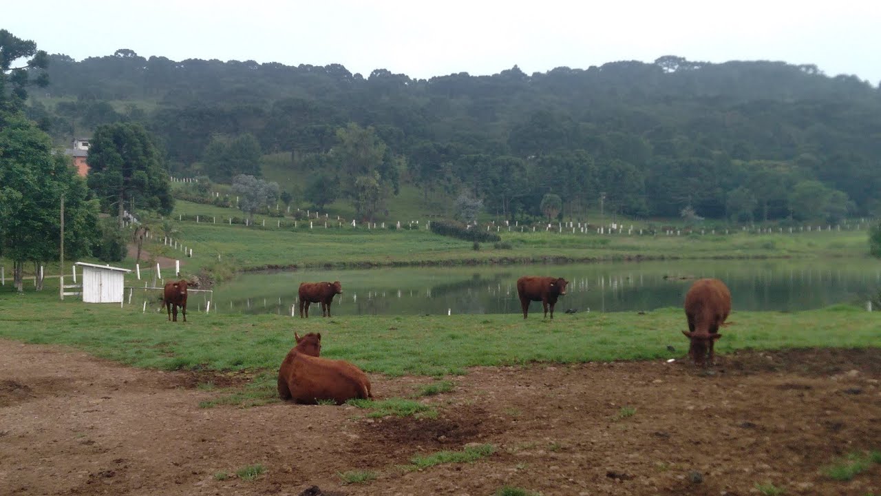 ROTINA DE UM COLÉGIO AGRÍCOLA