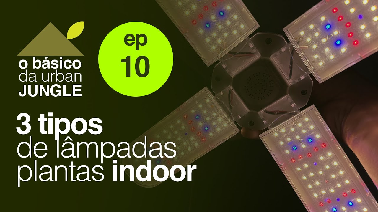 O Básico da Urban Jungle - Qual a MELHOR LÂMPADA para PLANTAS Dentro de CASA