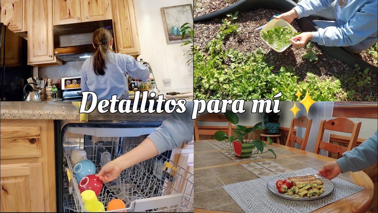 ✨️Parte de mi Rutina / Cocina Fresca y Ordenada/ Semillas para el Huerto🫒/ Comida Casera y Saludable
