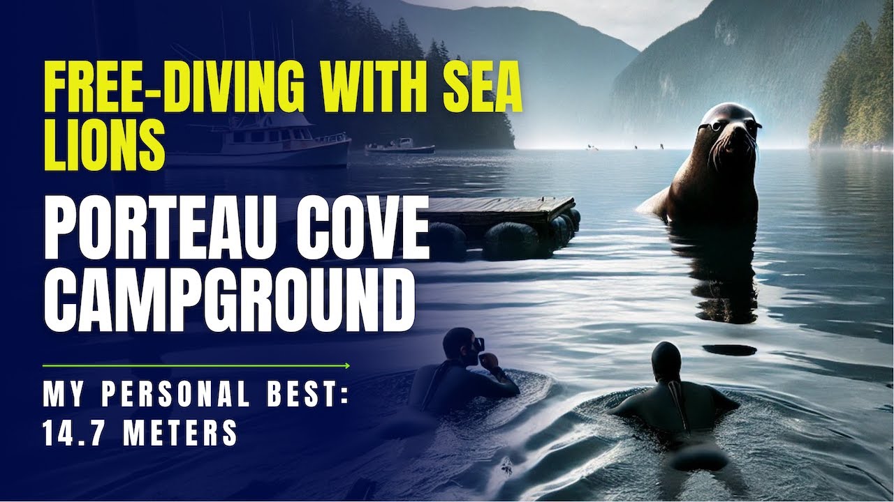 Frightening Free-diving Adventure at Porteau Cove: Face-to-Face with a massive Sea Lion! 🌊🦭