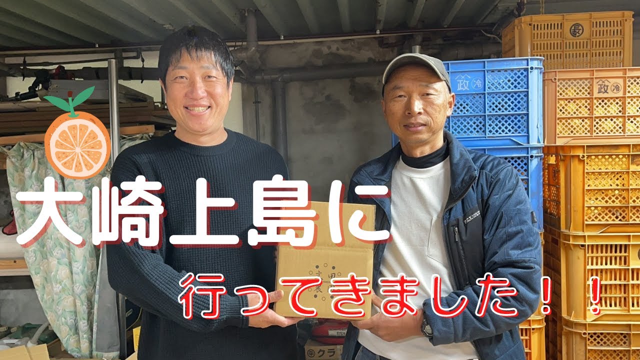 広島県大崎上島の文田農園に潜入！想像以上に柑橘の島だった。
