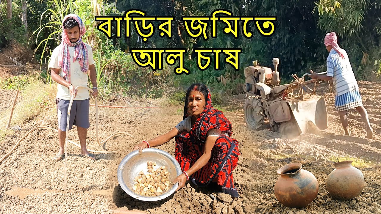 “এভাবে আলু চাষ করলে ফলন দ্বিগুণ! সহজ ও কার্যকর টিপস”
