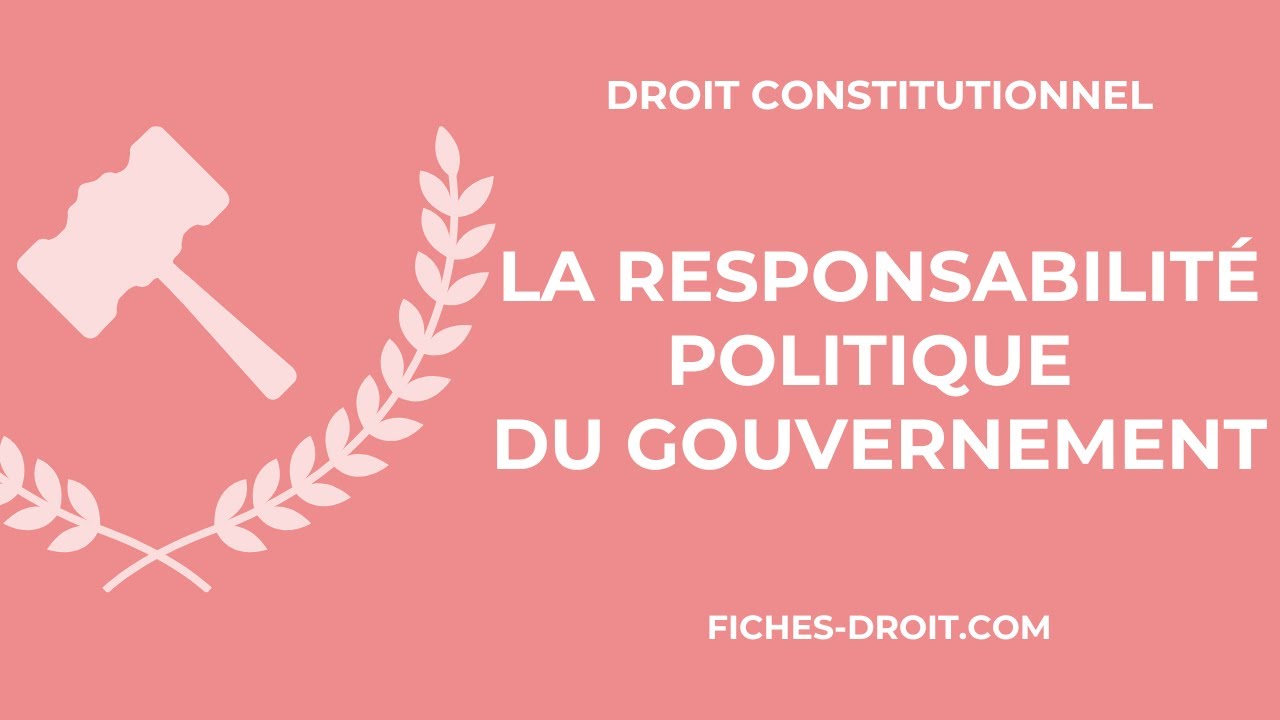 La responsabilité politique du gouvernement - Droit constitutionnel