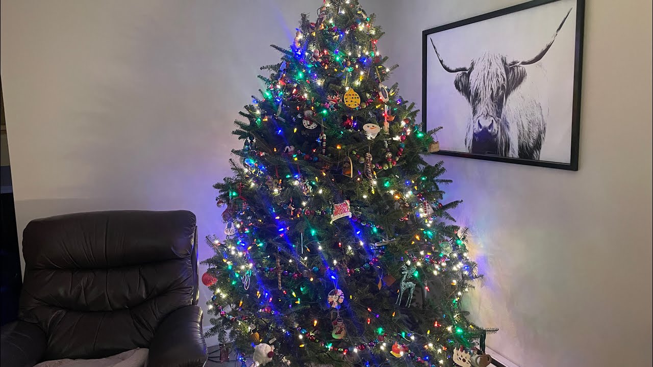 #100: Decorating the Christmas Tree - December 8, 2024