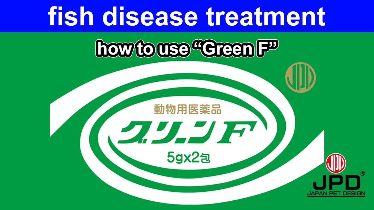 How to use fish disease treatment 