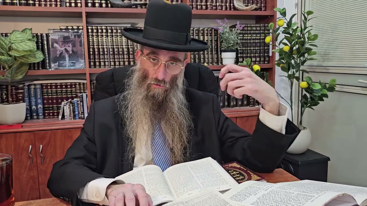 בן העולם הבא | שו