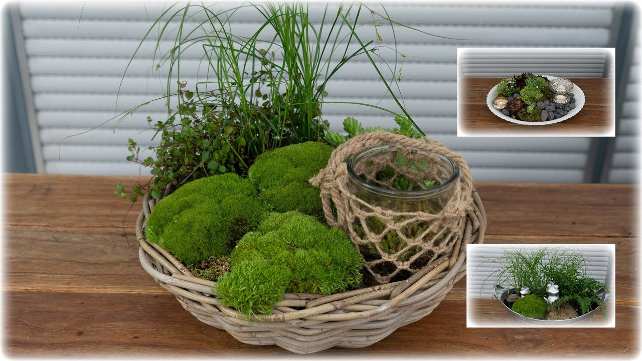 Sommergrün🌿 | Sommerdeko mit Sukkulenten, Farn und Gräser | drei Varianten | Blumen und Dekoration