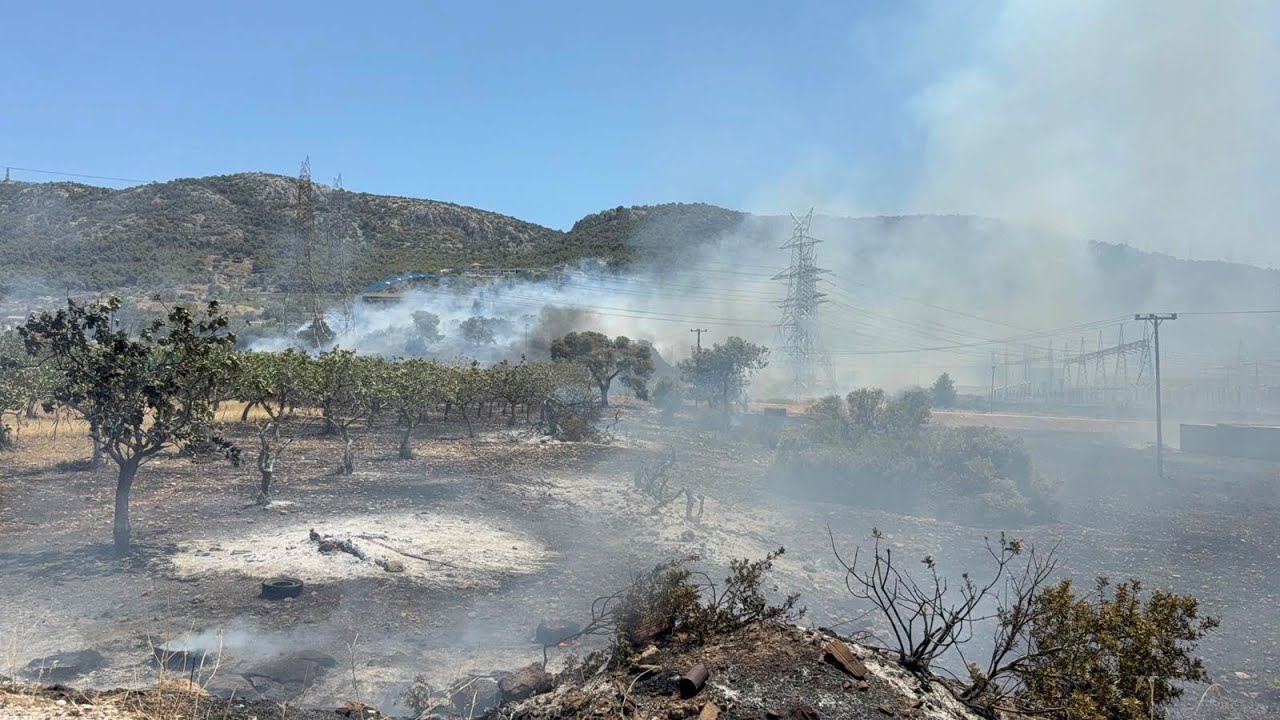 Φωτιά στα Νεόκτιστα Ασπροπύργου