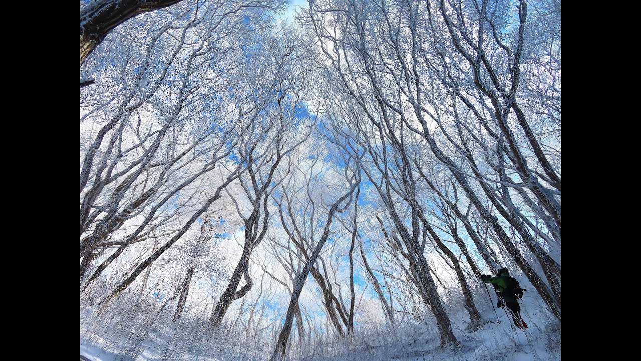 霧氷にいざなわれて霊山へ
