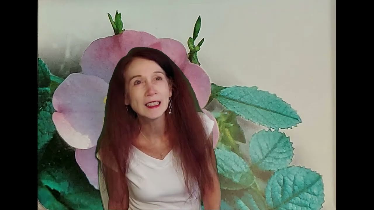 Let's Paint a Lavender Rose/The Spirit of Watercolor