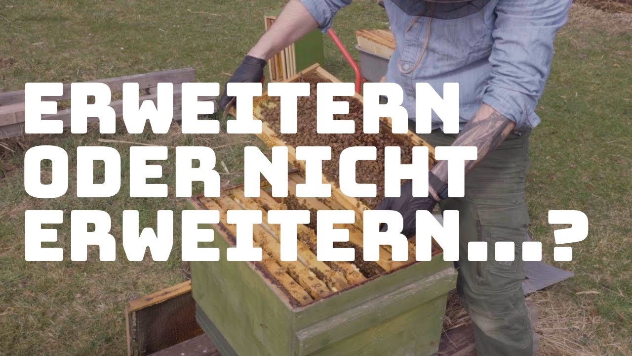 Der angepasste Brutraum: Erweitern oder nicht erweitern...? Das ist hier die Frage!