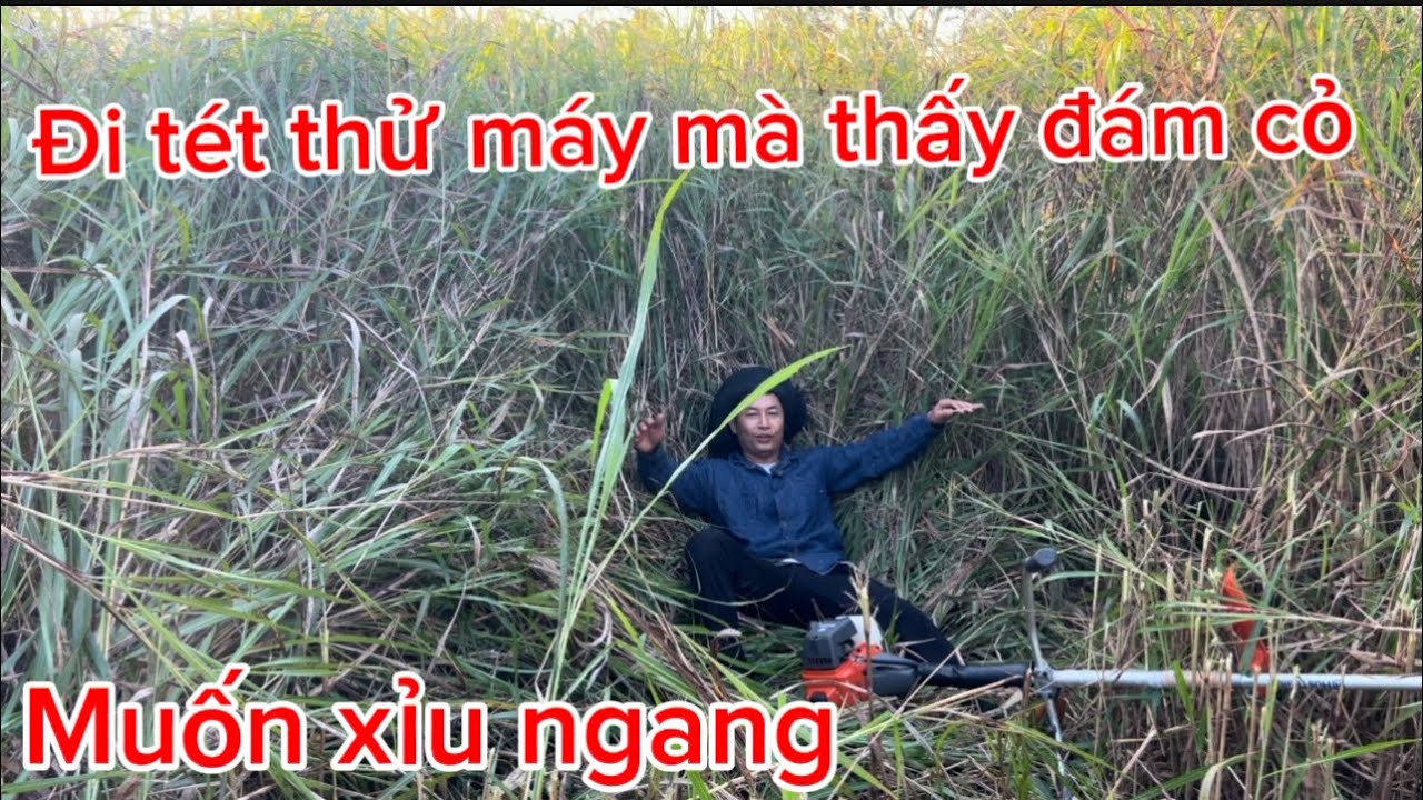 #mayphatco#huongdan #may#maycatco đi tét thử máy HusThailan mà đúng khỏe dật mình