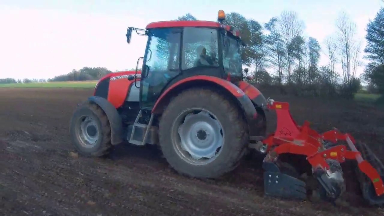 Talerzowanie kukurydzy # Zetor Proxima 90