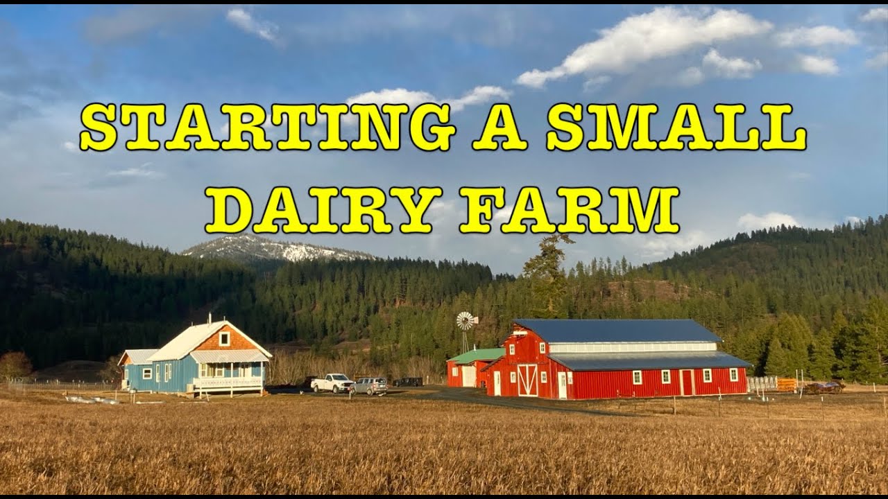 Starting a Small Dairy Farm: Considerations and thoughts!