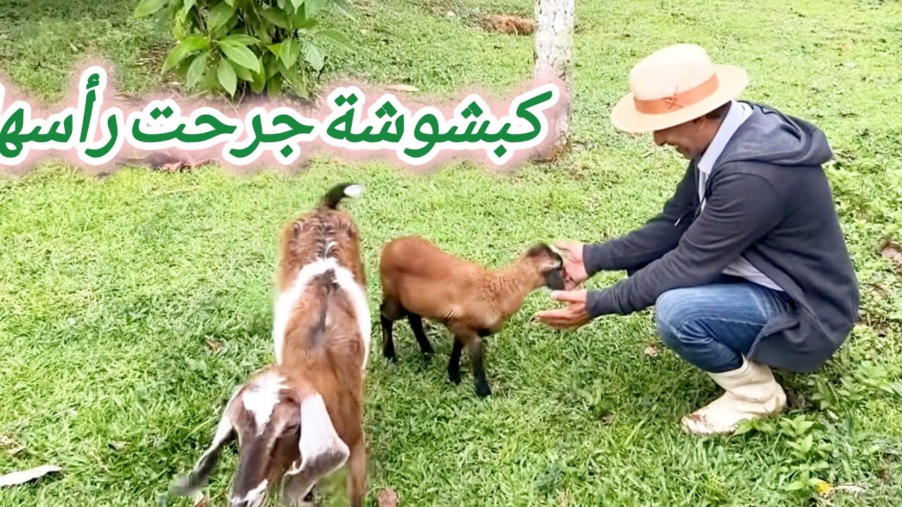 الحمدلله لم يمر الإعصار من مدينتنا 🤲🏼 المزرعة بعد المنخفض الجوي