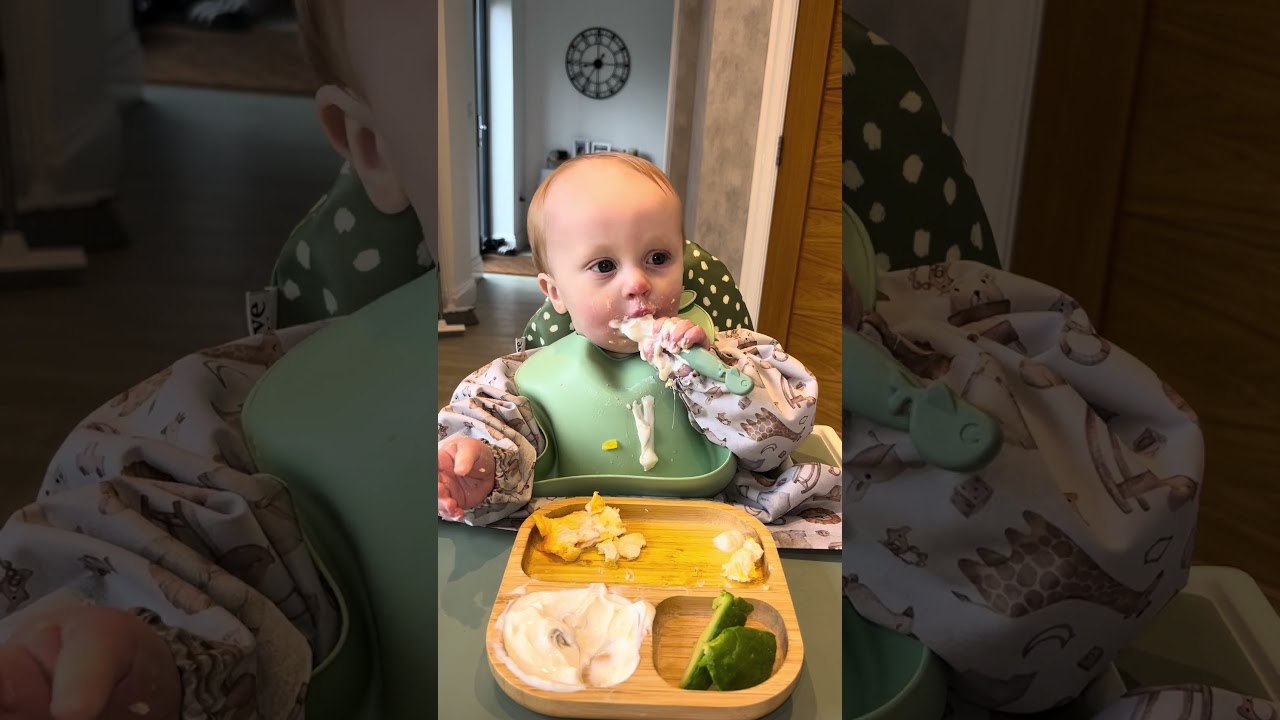 11-Month-Old’s Daytime Feeding Routine 