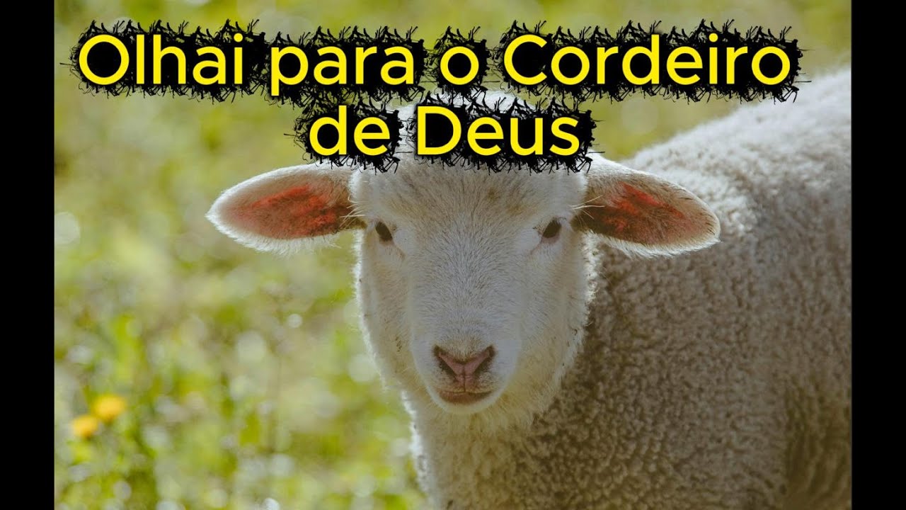 Livres do pecado vós quereis ficar?