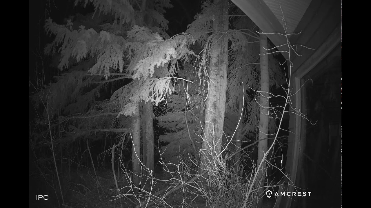 Aspen Center for Environmental Studies Live Stream