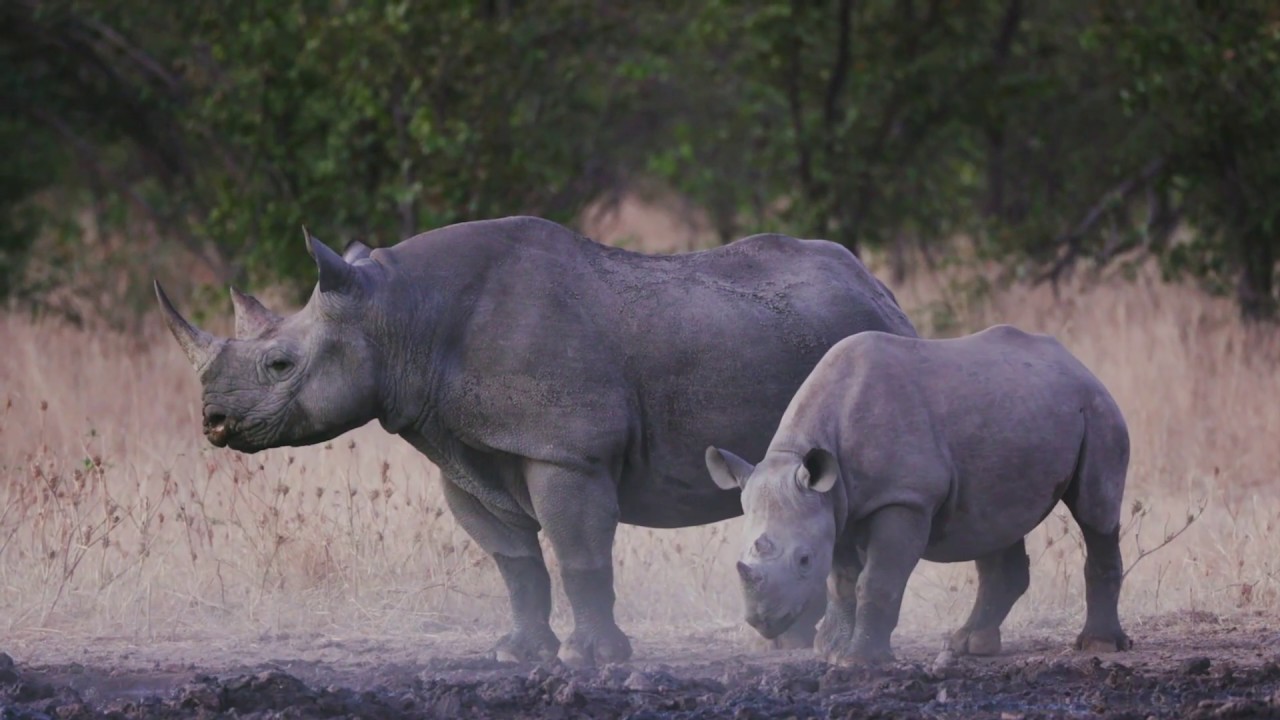 Mountain Lodge | Namibia | Expert Africa