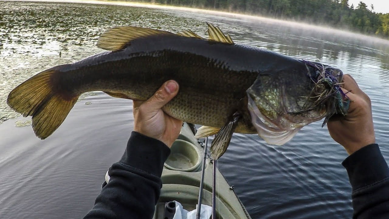 4lbs 1oz Cast2Catch on the Talon Lures BillyMac Jig