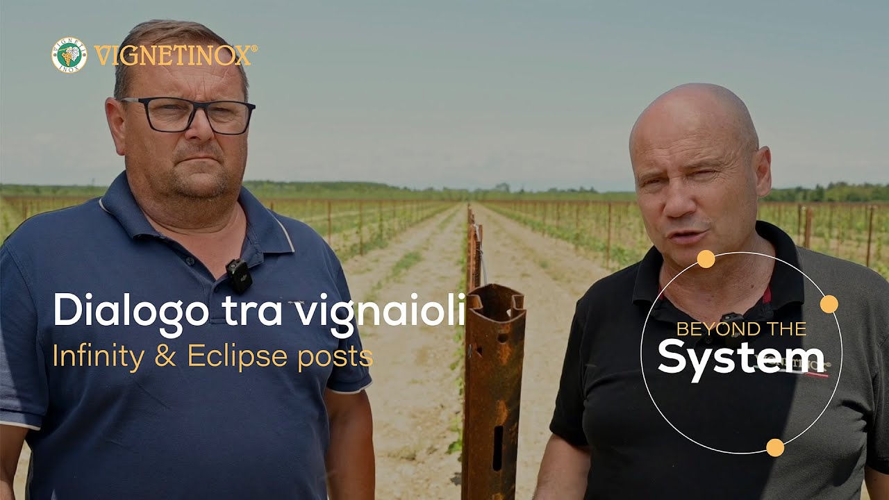 Palo Infinity, Eclipse e cordone libero // Dialogo tra vignaioli