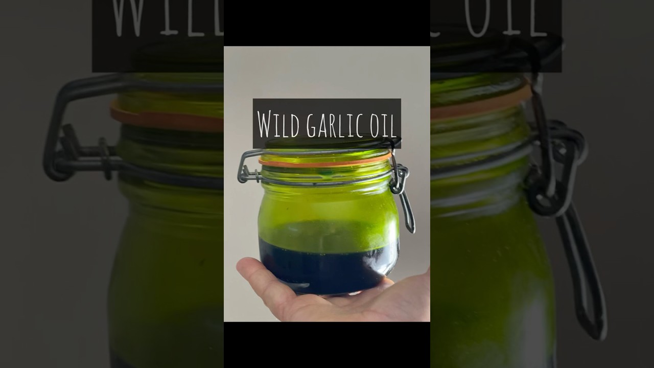 Wild Garlic Oil #wildgarlic #foraging #forage #allium #foodie #green #oil #flavour #wildplants