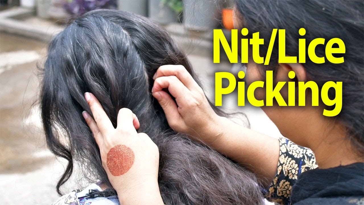 Lice Nit Picking from pure Black Hairs | ASMR Pakistan