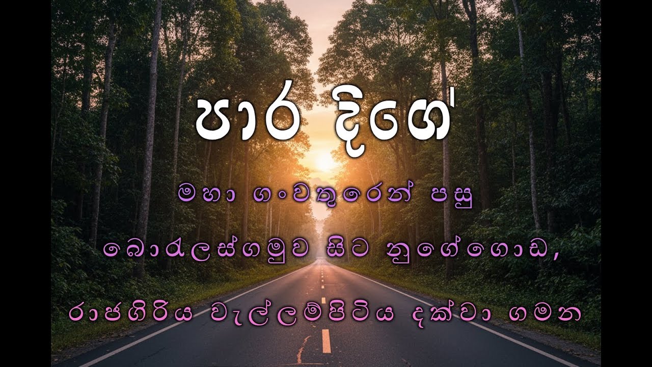 මහා ගංවතුරෙන් පසු බොරැලස්ගමුව සිට නුගේගොඩ,රාජගිරිය වැල්ලම්පිටිය දක්වා ගමන