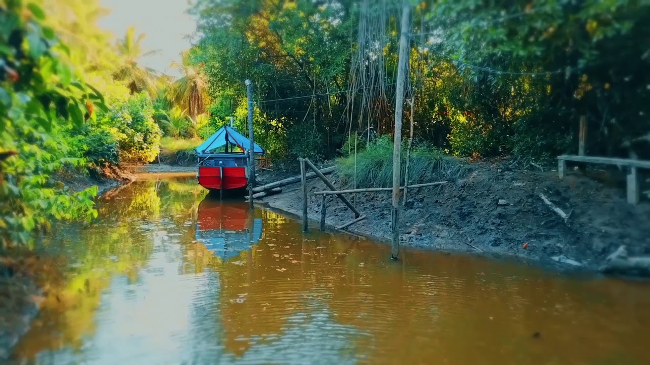 RAIZ DO MANGUEZAL