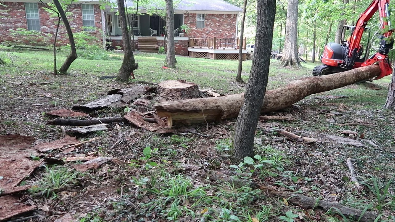 Taking down trees in tight places