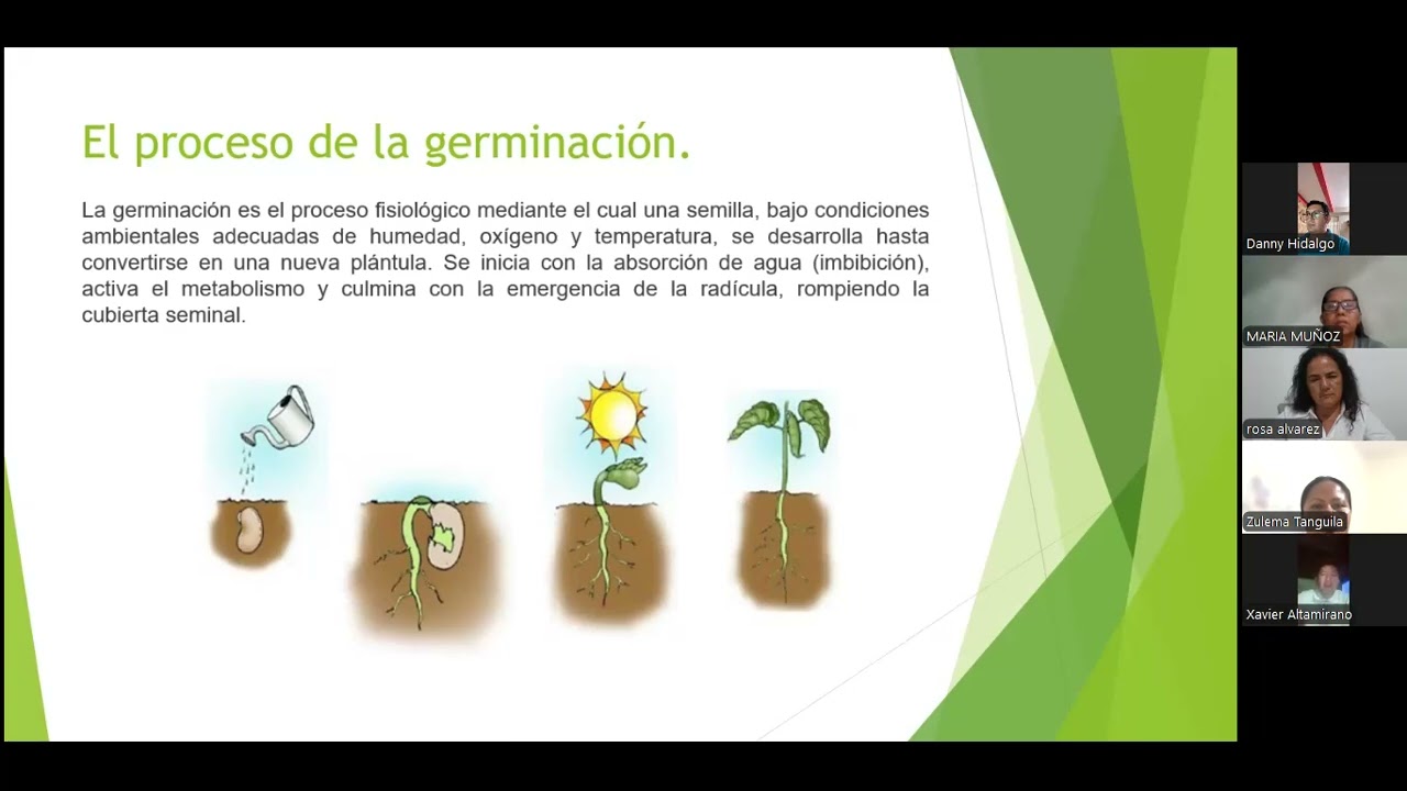 UBE - CIENCIAS NATURALES - EVALUACIÓN FINAL