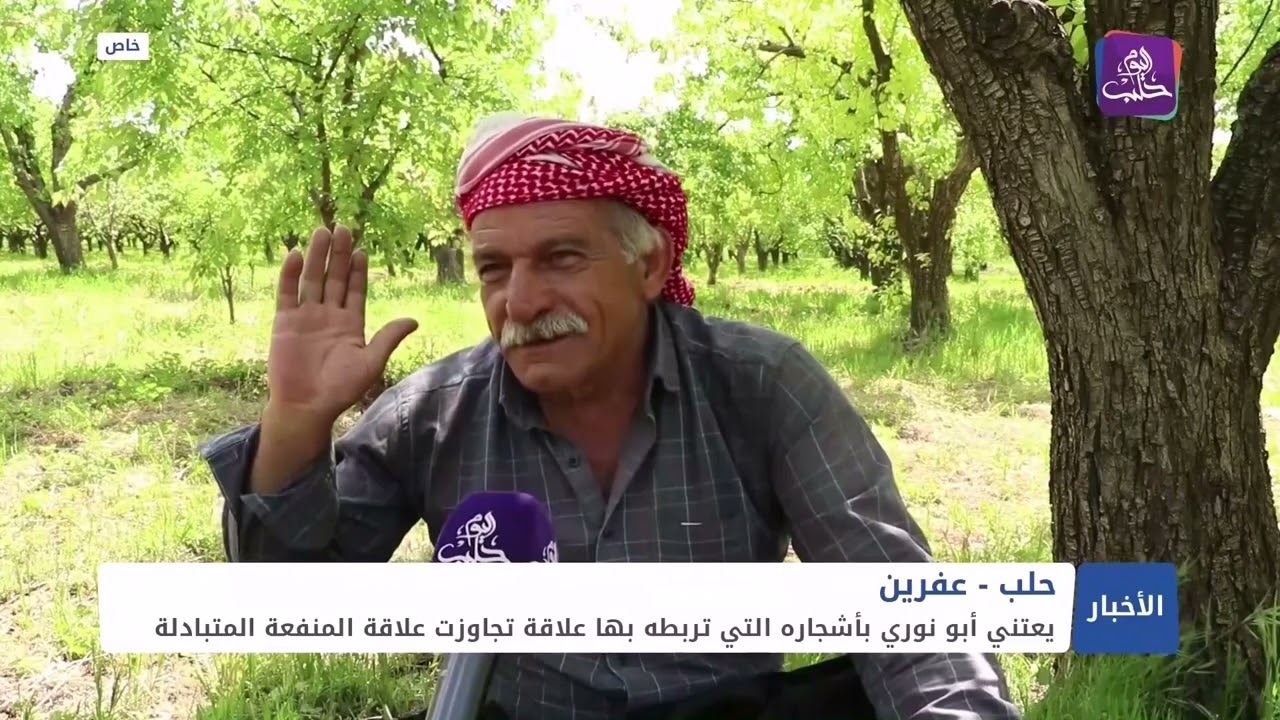 أبو نوري مزارع من عفرين، جلب مئات الأشجار من مدينة داريا، وزرعها بأرضه قبل أكثر من أربعين عاماً