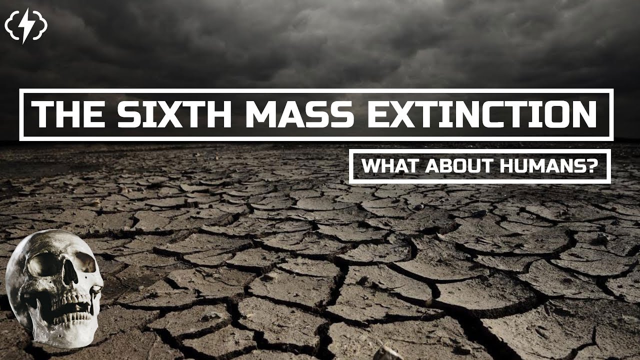 What Does The Sixth Mass Extinction Mean For Humans?