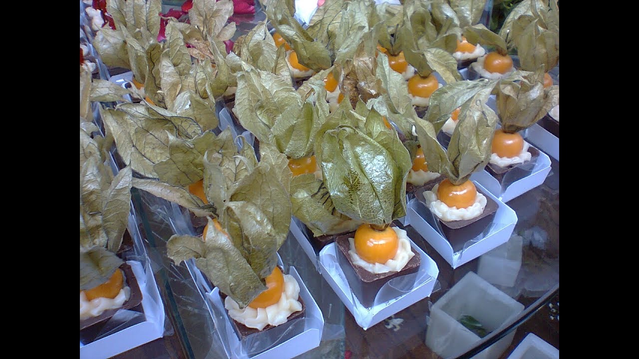 A cultura da Physalis