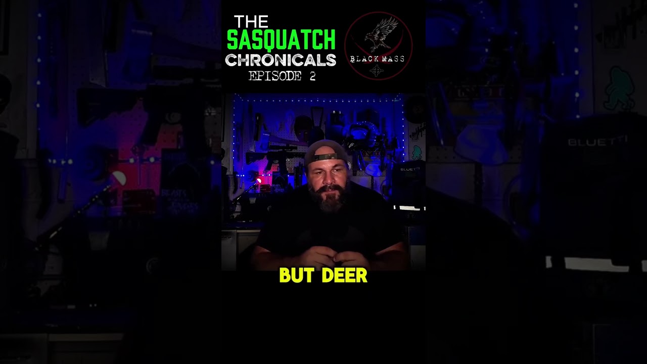 PT2 2024 Fort Valley Daylight Bigfoot Sighting