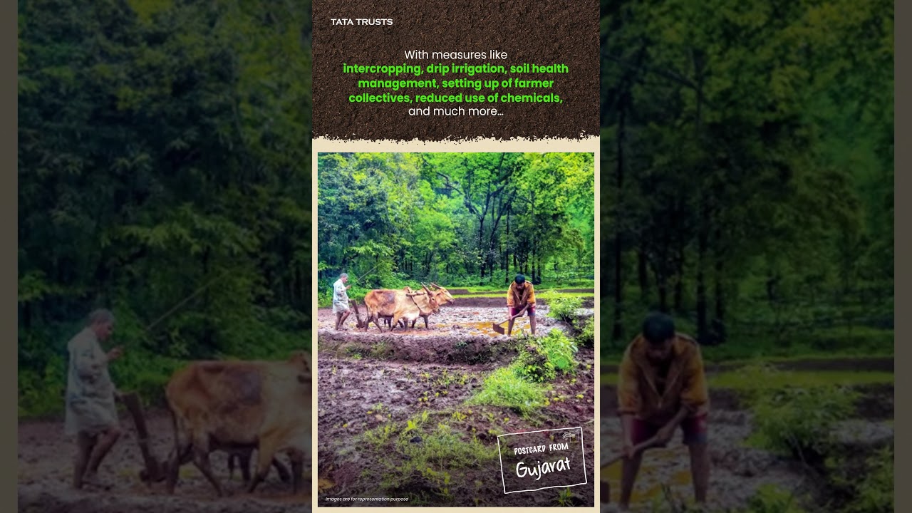 Postcards from Gujarat | Managing Coastal Salinity | Tata Trusts