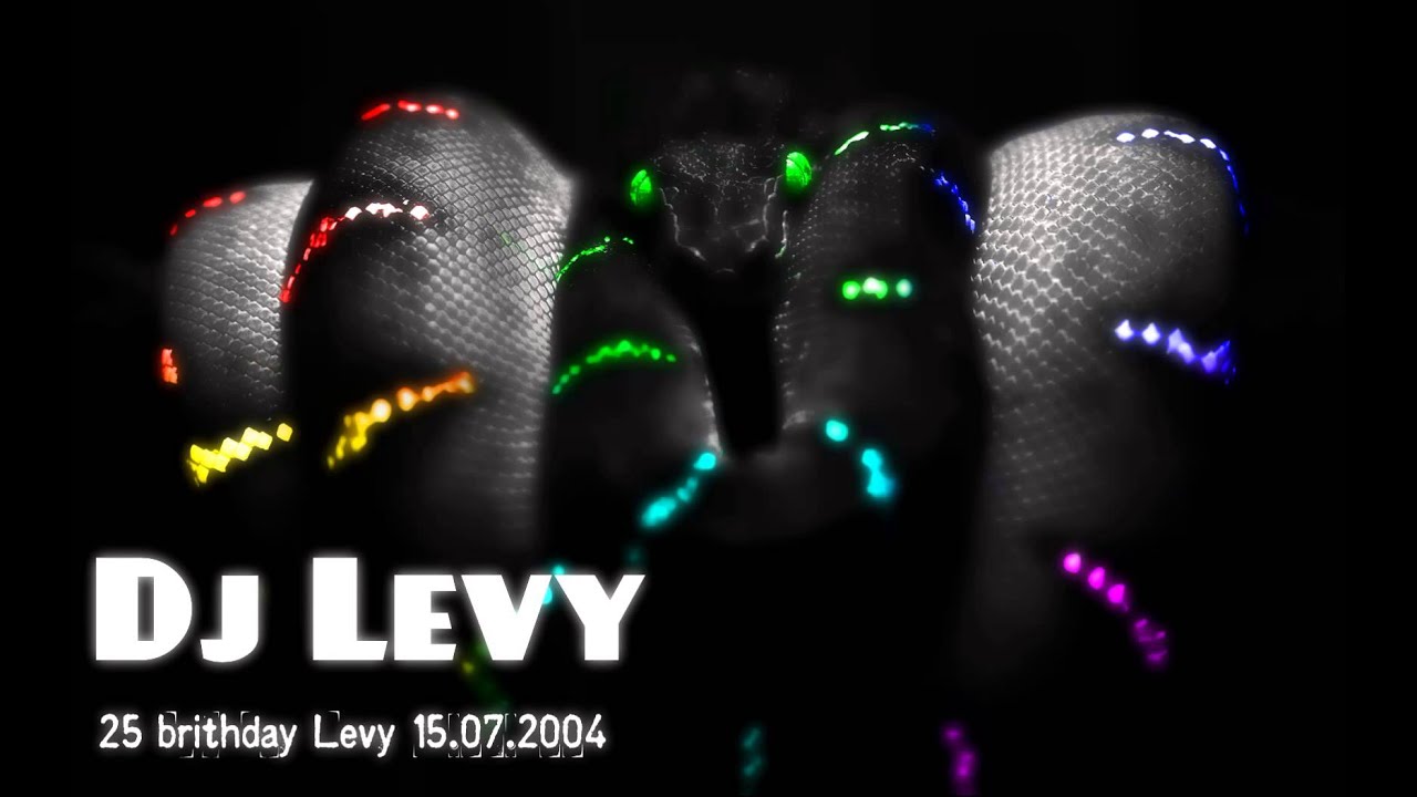 25 birthday Dj Levy  15 07 04 oficialmix