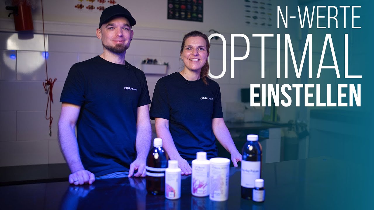 HOW-TO: Stickstoff im Meerwasseraquarium - so optimierst Du die N-Versorgung