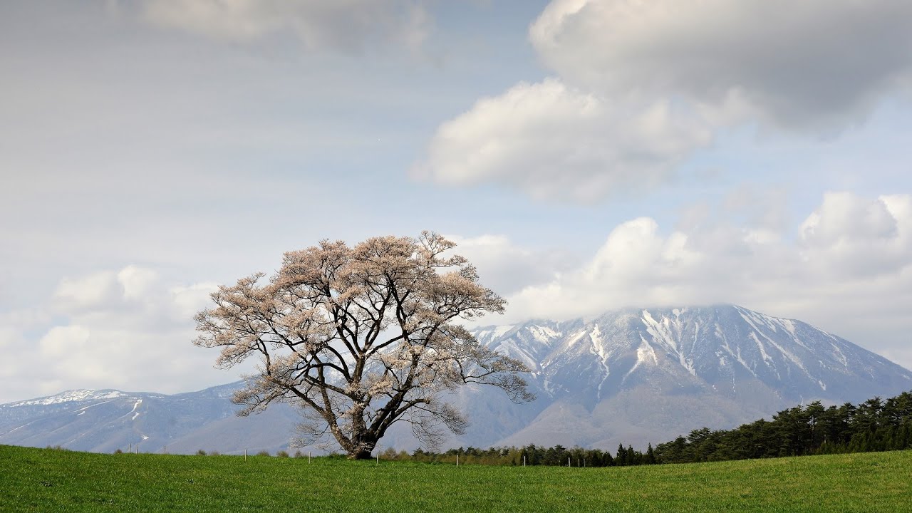 &rsquo;２３心に残る風景（前編）