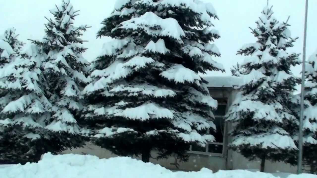 Vitez u snijegu.wmv 4.2.2012.g.