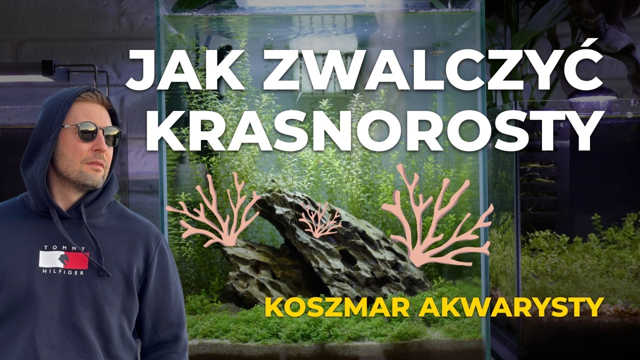 Krasnorosty w akwarium? Poznaj moją metodę na CZARNE GLONY! Sprawdzony sposób - Krok po Kroku
