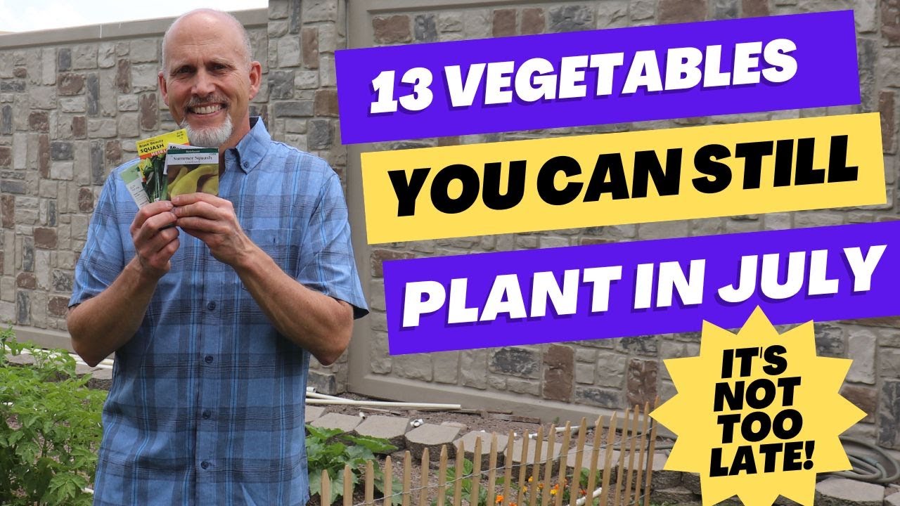 13 Vegetables you can Still Direct Seed In July - It's Not Too Late to Plant a Garden!