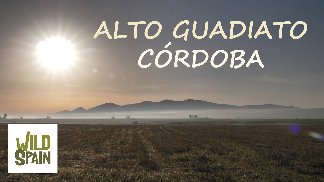 Wild Spain - Cap&iacute;tulo 154 - Alto Guadiato, C&oacute;rdoba.