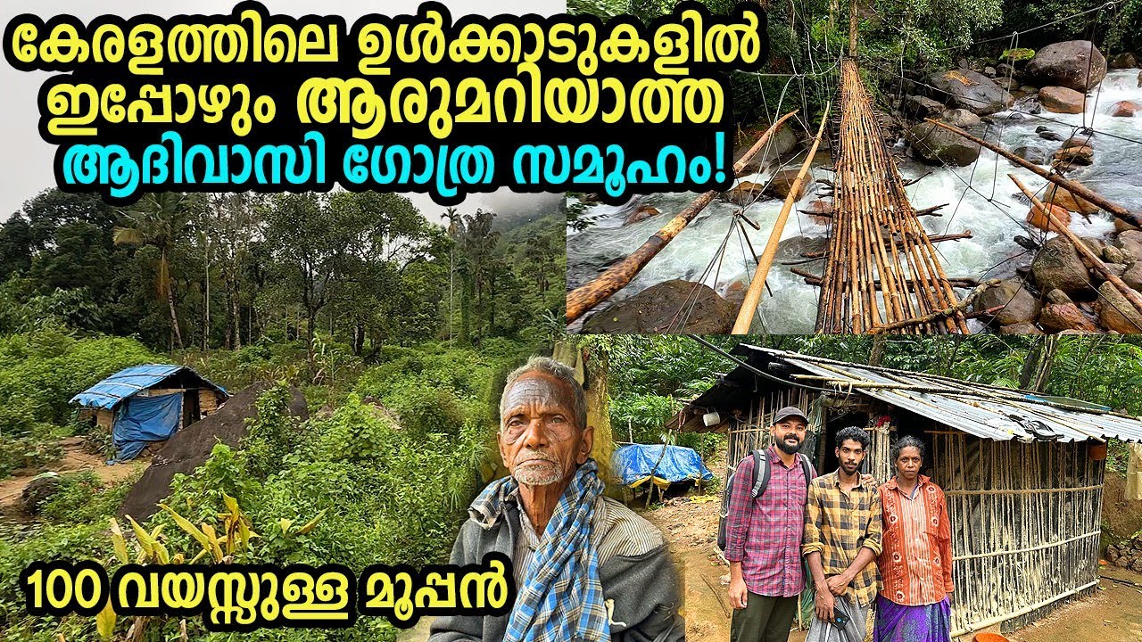 കിലോമീറ്ററോളം കാട്ടിലൂടെ നടന്നെങ്കിൽ മാത്രമേ  ഇവിടെ എത്തിപ്പെടാൻ സാധിക്കു | Muthuvan tribe