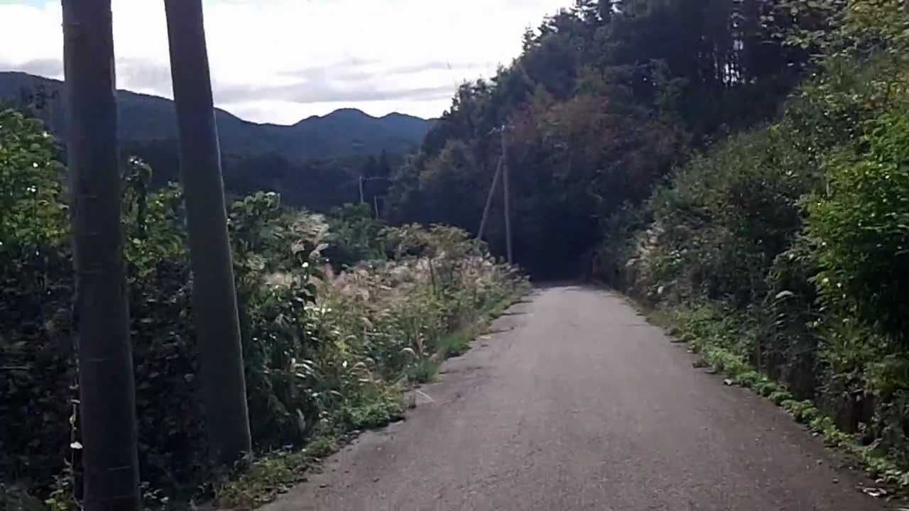 敷島醸造　菩提圃場プティヴェルド収穫2012