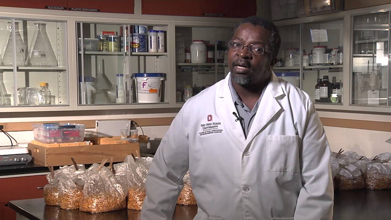 2016 OARDC Distinguished Junior Faculty Research Award