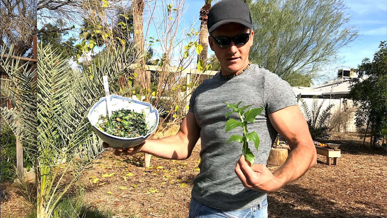 Get HIGH & BUZZED on the VEGAN FOOD in Your GARDEN!