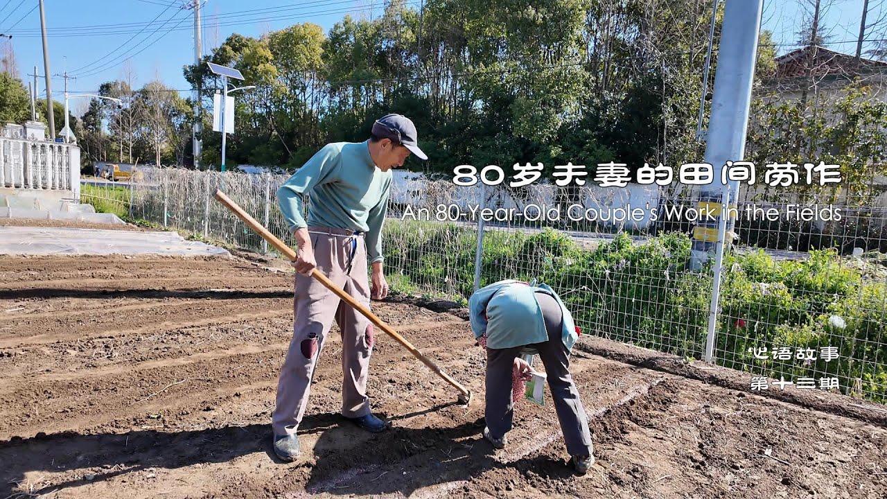 80岁夫妻的田间劳作 An 80-Year-Old Couple's Work in the Fields #心语 #田间劳作 #田园生活 #农村生活 #种玉米#LifeInTheFields