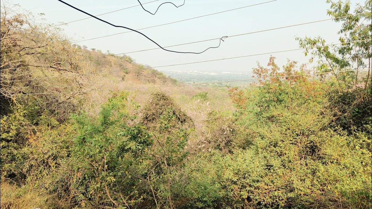 आपला शेतकरी मित्र is live! वनविभाग महादेव मंदिर परिसर.....